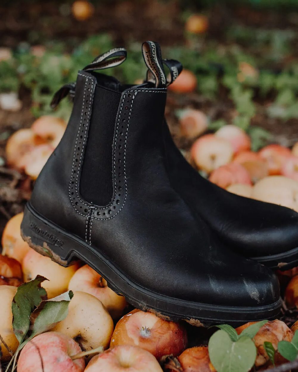 Black Coloured Blundstone Womens 1448 Black Chelsea Boots on outdoor background #colour_black