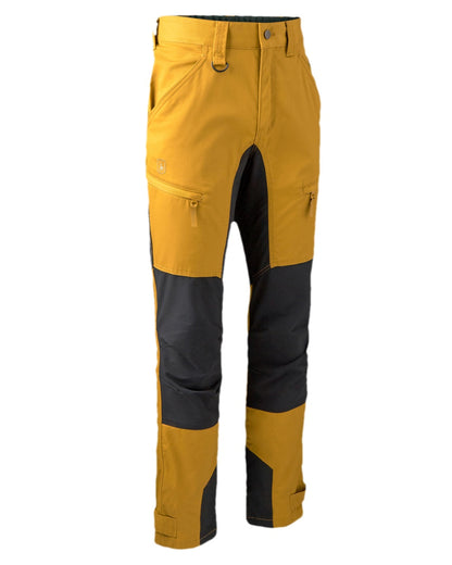 Buckthorn Coloured Deerhunter Rogaland Contrast Stretch Trousers on white background #colour_buckthorn