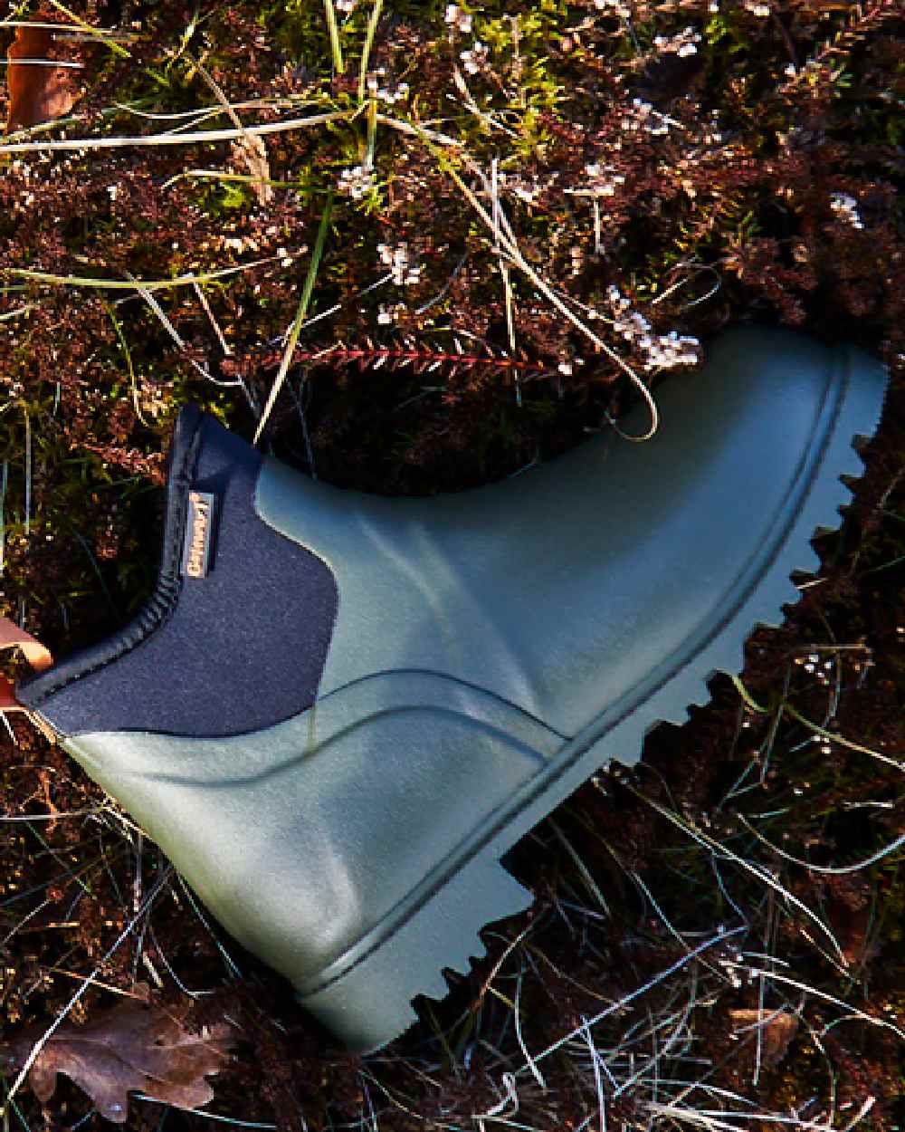 Dark Brown Coloured Gateway1 Ascot II Lady 6" 3mm Boots on outdoor background #colour_dark-brown