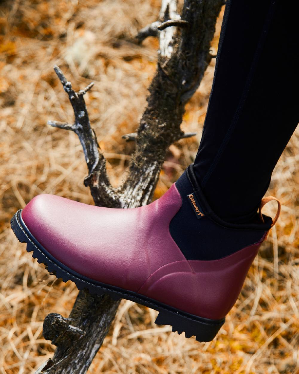 Burgundy Coloured Gateway1 Ascot Lady 6 3mm Boots on outdoor background #colour_burgundy