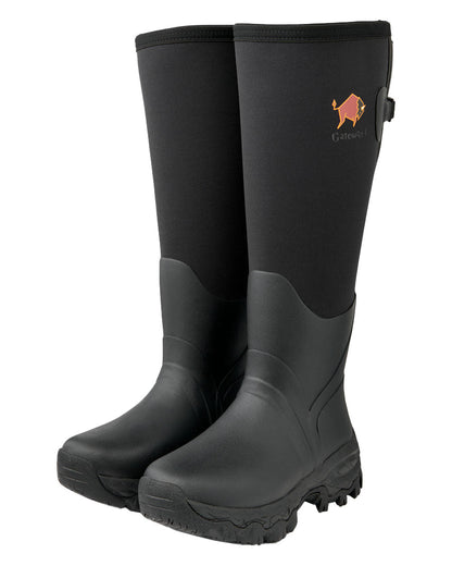 Black coloured Gateway1 Woodwalker Lady 17" 4mm Wellingtons on White background #colour_black