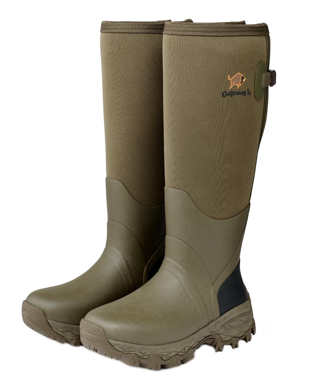 Walnut coloured Gateway1 Woodwalker Lady 17" 4mm Wellingtons on White background #colour_walnut