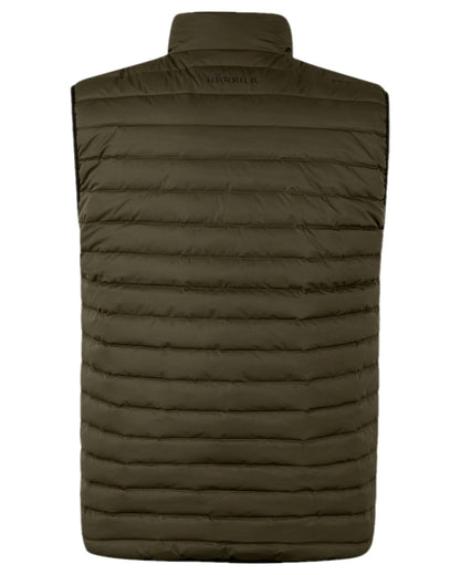 Willow Green Coloured Harkila Clim8 Insulated Waistcoat on white background #colour_willow-green