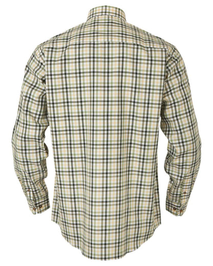 Beech Green Check Coloured Harkila Milford Shirt on white background #colour_beech-green-check