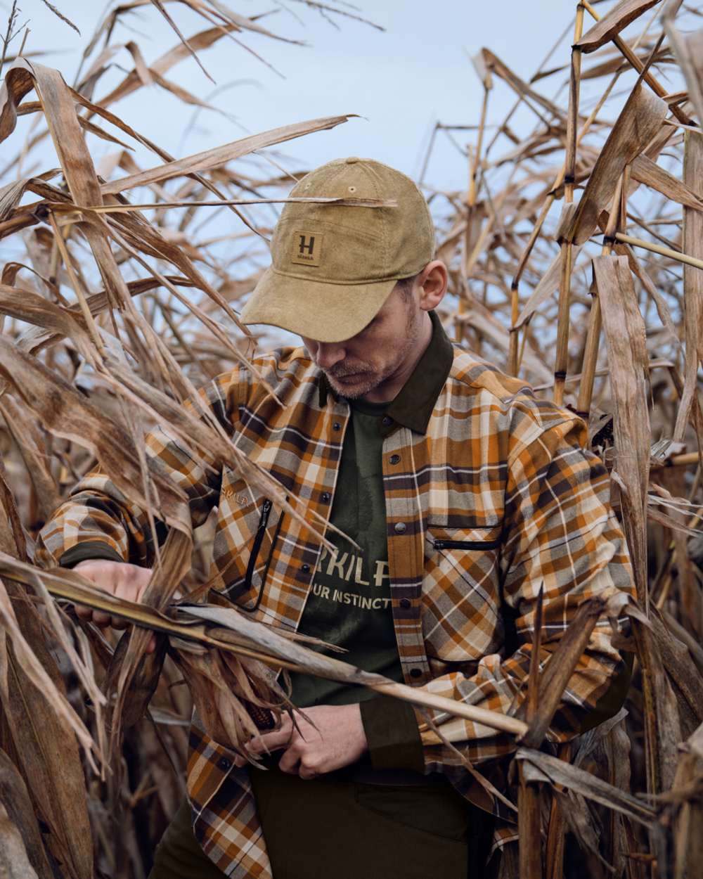 Cornstalk Check coloured Harkila Pajala Check Shirt on field background #colour_cornstalk-check