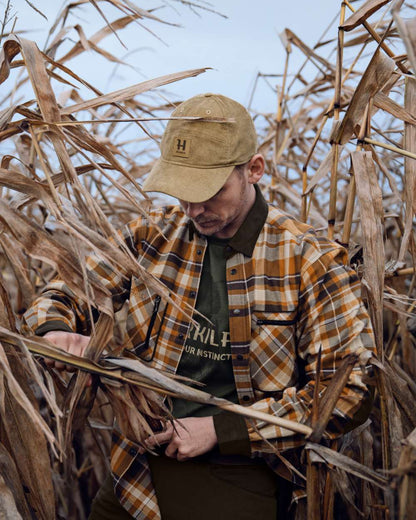 Cornstalk Check coloured Harkila Pajala Check Shirt on field background #colour_cornstalk-check