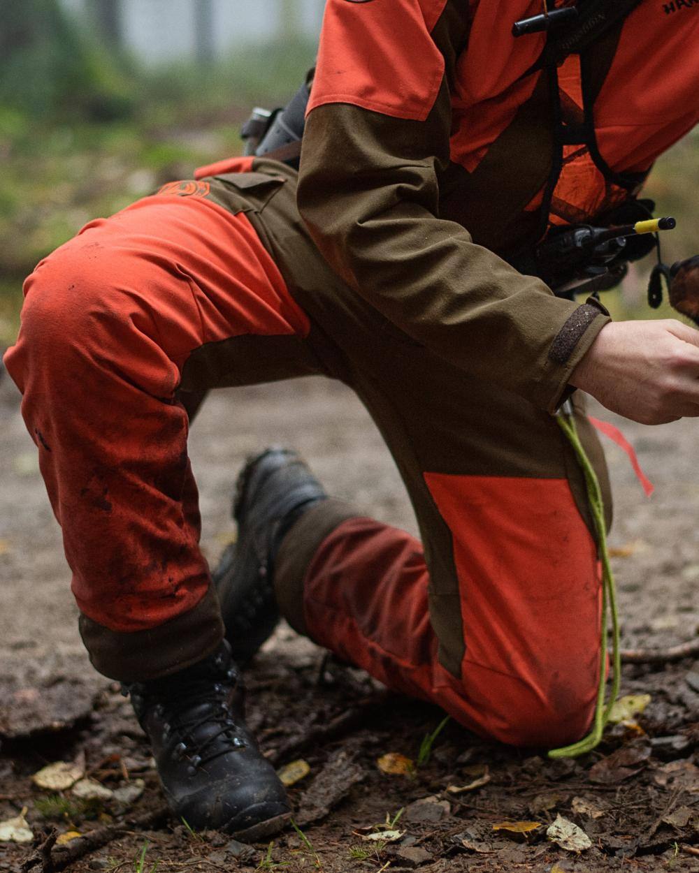 Wildboar Orange Willow Green Coloured Harkila Wildboar Pro Trousers on forest background #colour_wildboar-orange-willow-green
