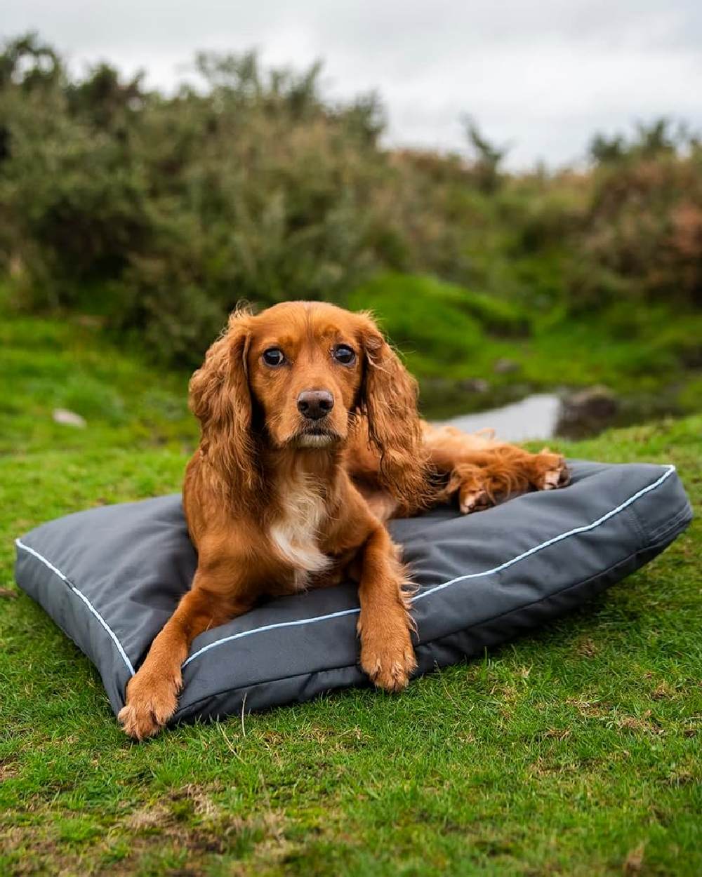 Grey coloured Henry Wag Brecon Adventure Bed on backyard background #colour_grey