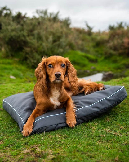 Grey coloured Henry Wag Brecon Adventure Bed on backyard background #colour_grey