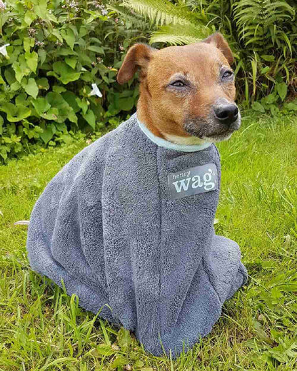 Grey coloured Henry Wag Drying Bag on grass background #colour_grey