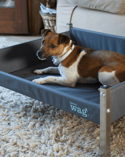 Grey Black coloured Henry Wag Elevated Dog Bed on house background #colour_grey-black