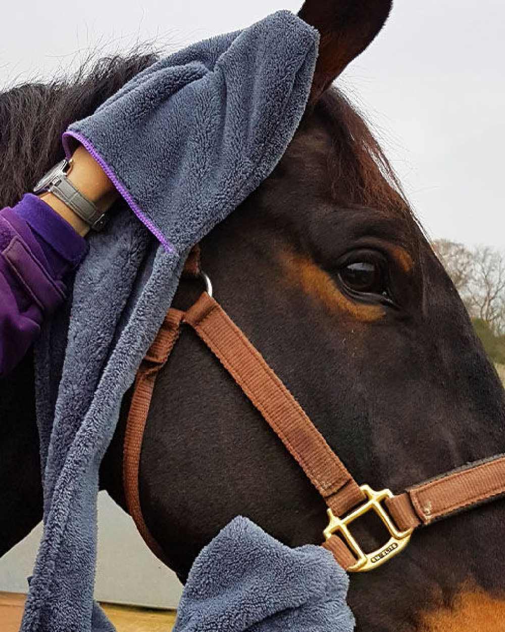 Henry Wag Equine Microfibre Glove Towel on sky background