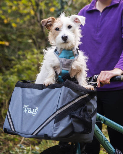 Grey coloured Henry Wag Pet Panier Bike Seat on forest background #colour_grey