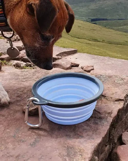 Blue coloured Henry Wag Pet Travel Bowl on mountain background #colour_blue