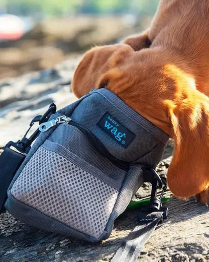 Grey coloured Henry Wag Treat Travel Bag on blurry background #colour_grey