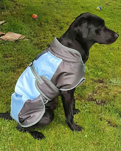 Blue Grey Henry Wag Waterproof Dog Coat on grass background #colour_blue-grey