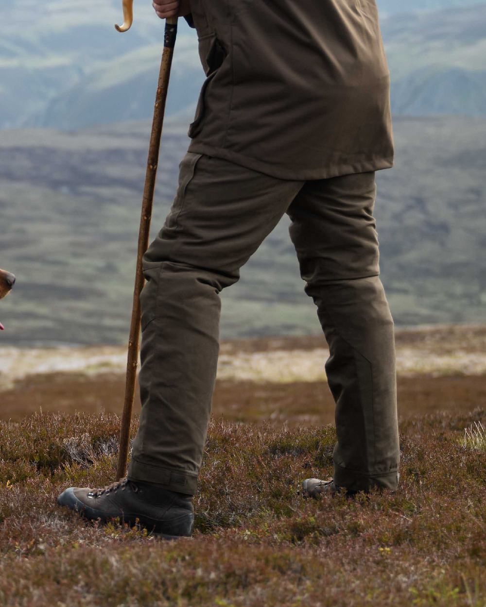 Green Coloured Hoggs of Fife Ballater Waterproof Field Trousers on sky background #colour_green