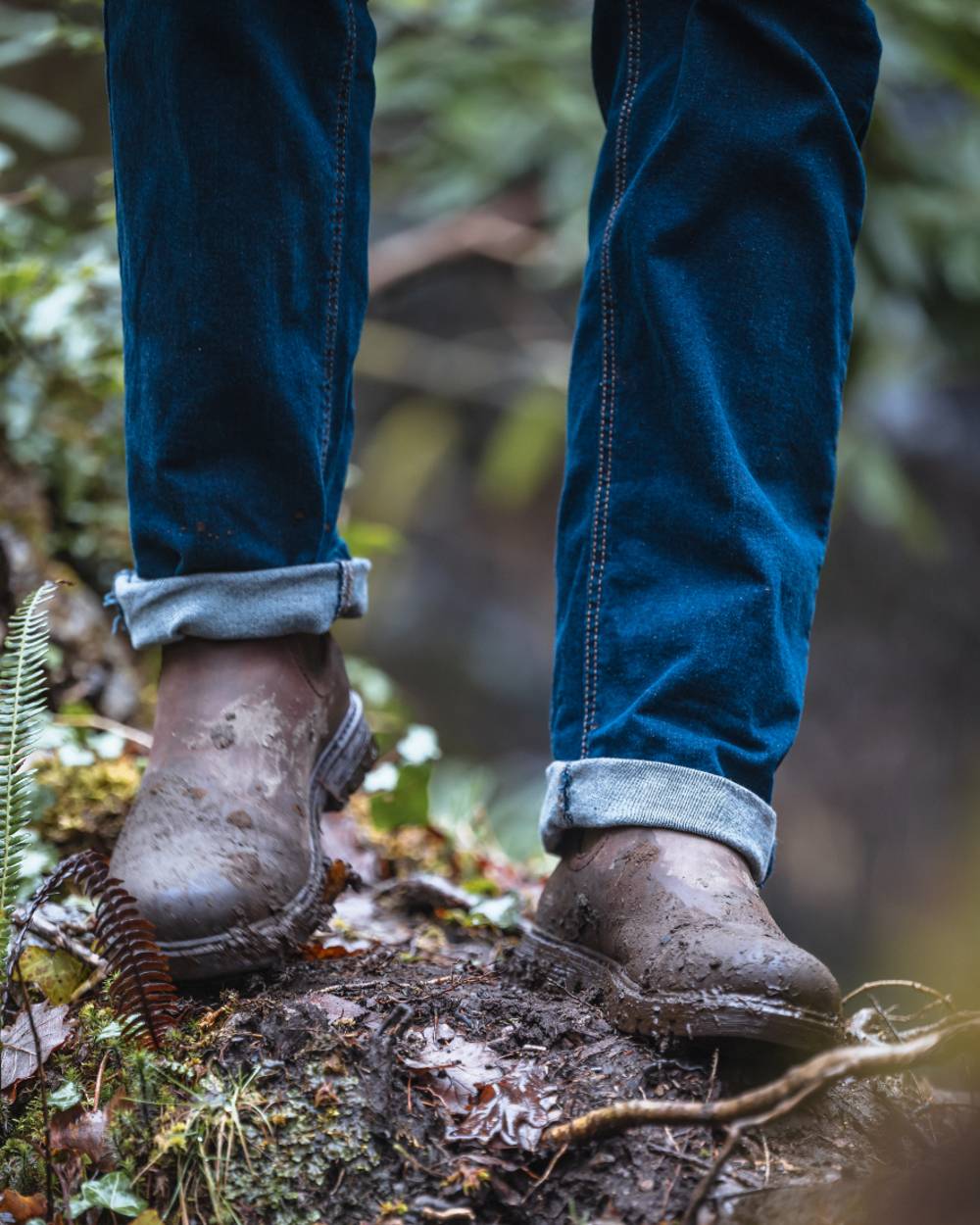 Dark Brown Coloured Hoggs of Fife Dalmeny Dealer Boots on forest background #colour_dark-brown
