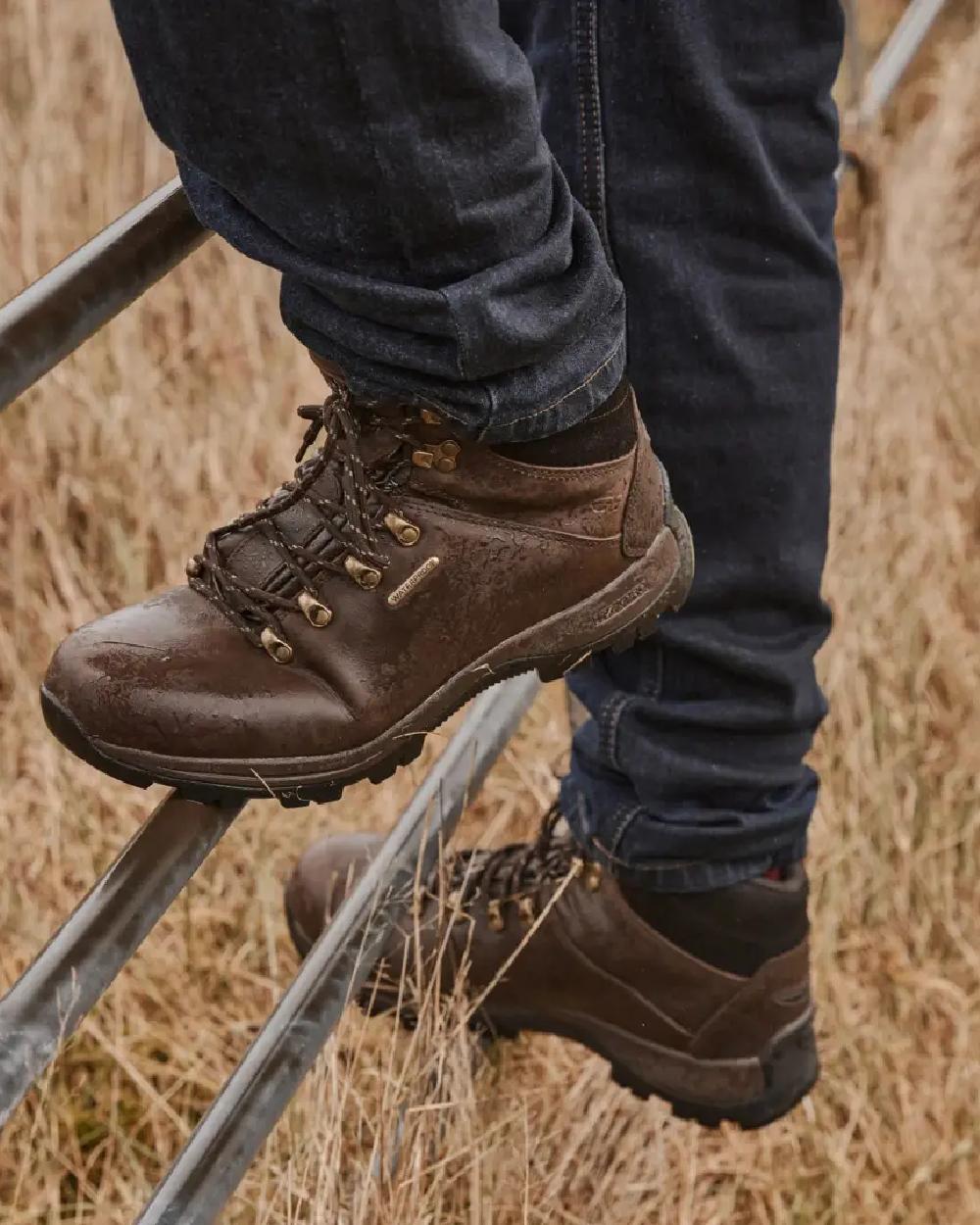 Brown Coloured Hoggs of Fife Glencoe Waxy Leather Trek Boot on grass background #colour_brown