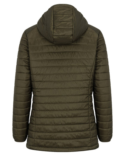 Olive Merlot coloured Hoggs of Fife Kingston Ladies Hooded Jacket on white background #colour_olive-merlot