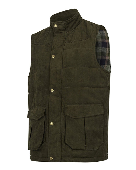 Loden coloured Hoggs of Fife Mens Glenbervie Quilted Gilet on white background #colour_loden