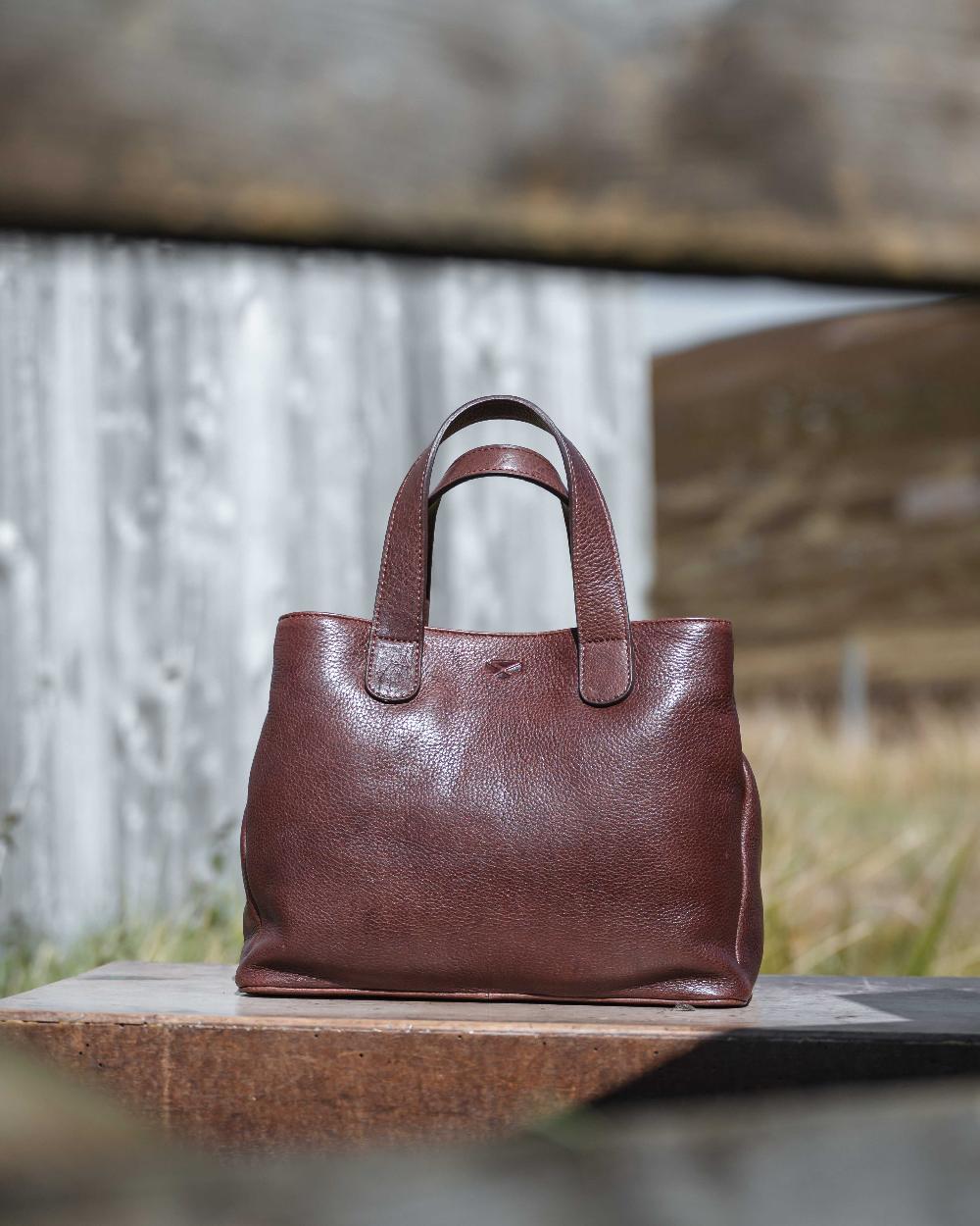 Conker Coloured Hoggs of Fife Monarch Leather Handbag on outdoor background #colour_conker