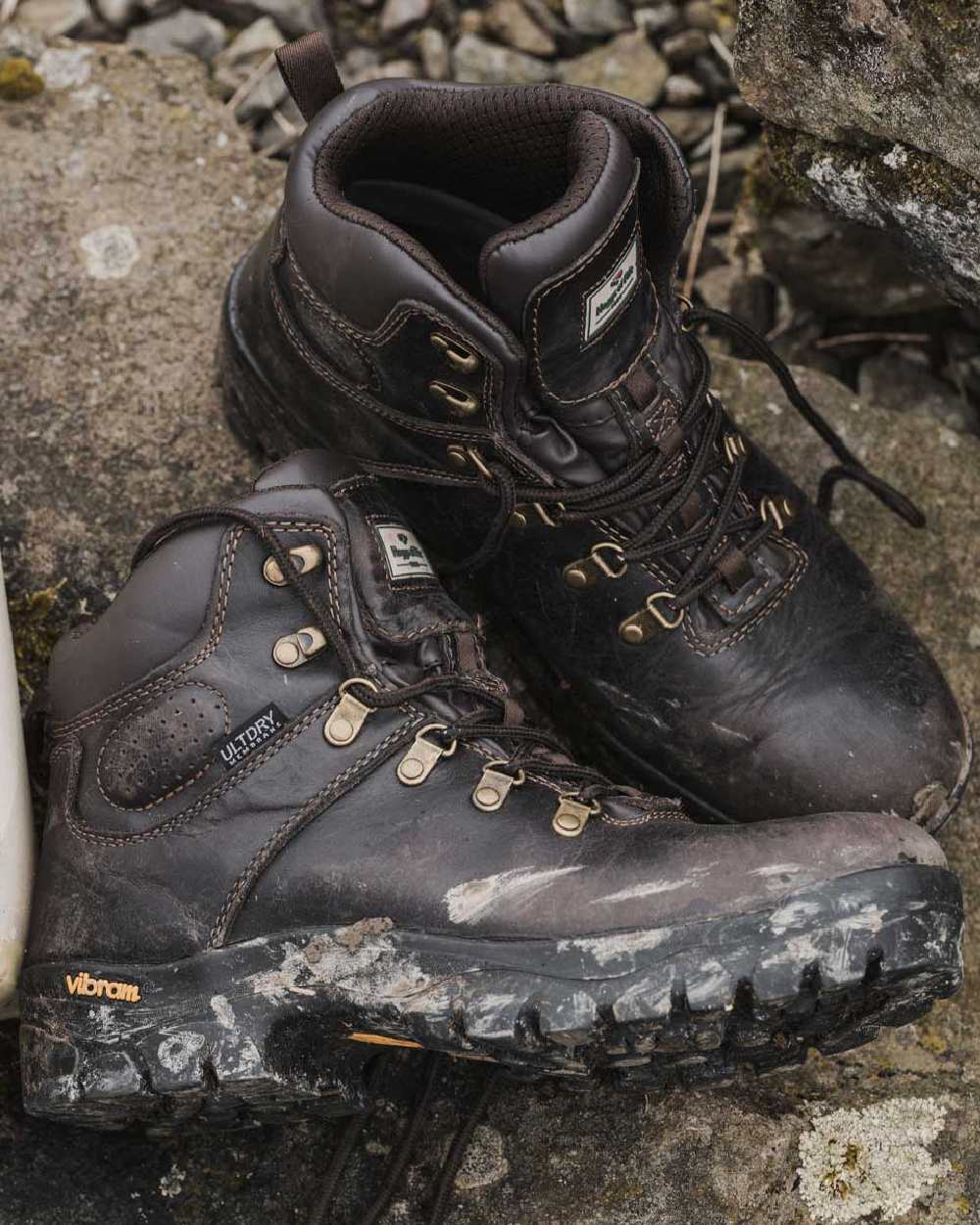 Brown Coloured Hoggs of Fife Munro Classic Leather Hiking Boots on coastal background #colour_brown