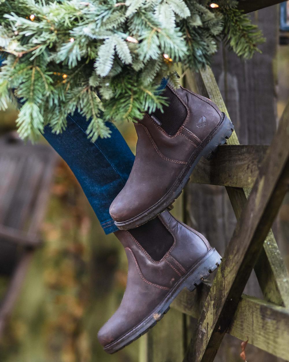 Dark Brown Coloured Hoggs of Fife Northumberland II Ladies Dealer Boots on outdoor background #colour_dark-brown