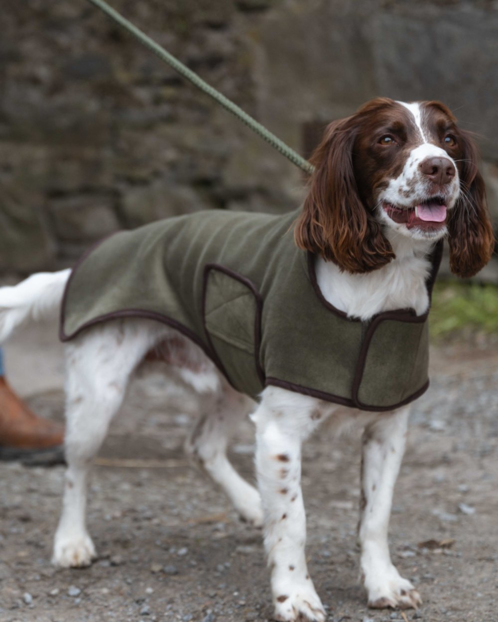 Lovat Coloured Hoggs of Fife Stenton Fleece Dog Coat on countryside background #colour_lovat