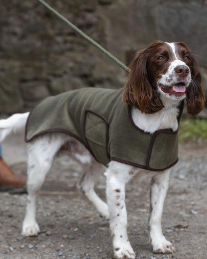 Lovat Coloured Hoggs of Fife Stenton Fleece Dog Coat on countryside background #colour_lovat