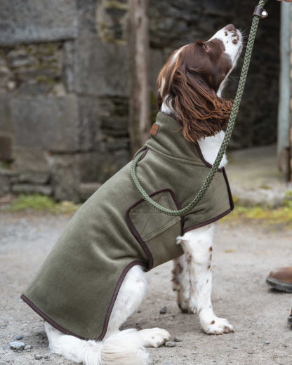 Lovat Coloured Hoggs of Fife Stenton Fleece Dog Coat on countryside background #colour_lovat