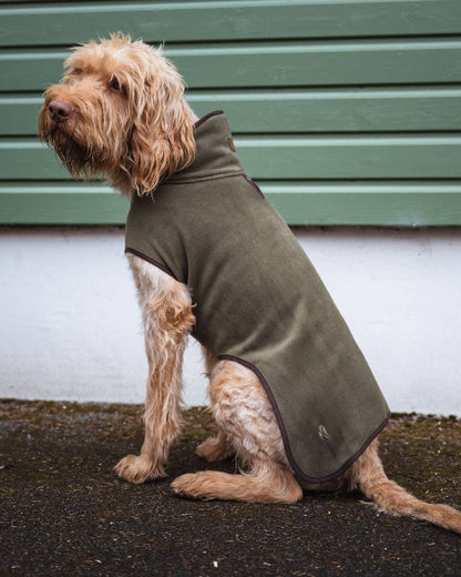 Navy Coloured Hoggs of Fife Stenton Fleece Dog Coat on countryside background #colour_navy