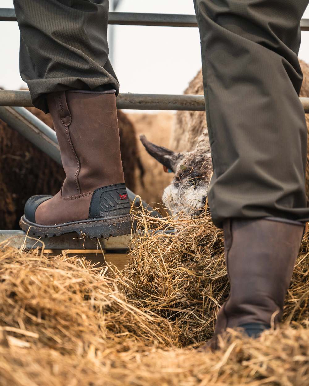 Brown Coloured Hoggs of Fife Thor Safety Rigger Boots on outdoor background #colour_brown