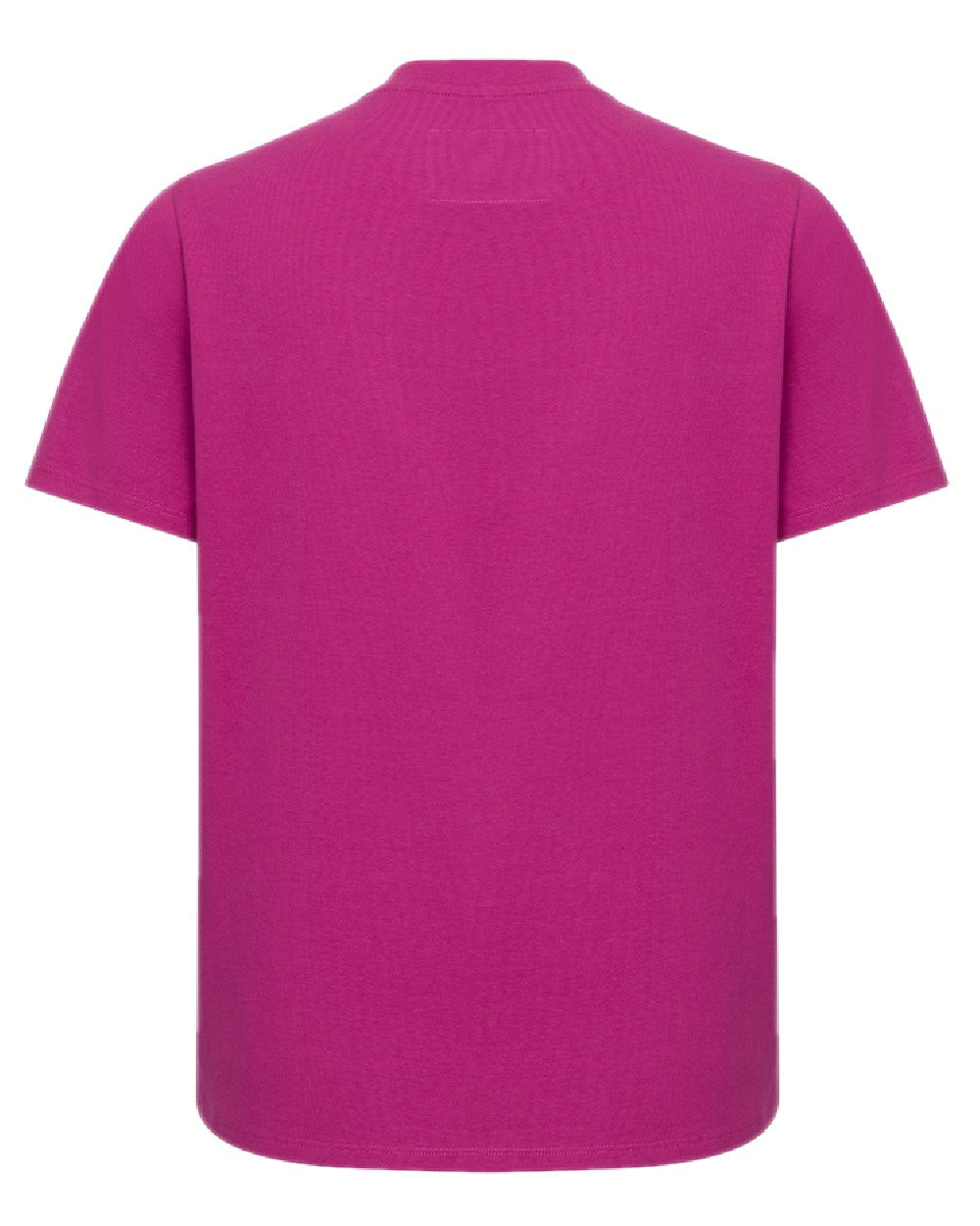 Berry Coloured Hoggs of Fife Womens Stella Printed T-Shirt on white background #colour_berry
