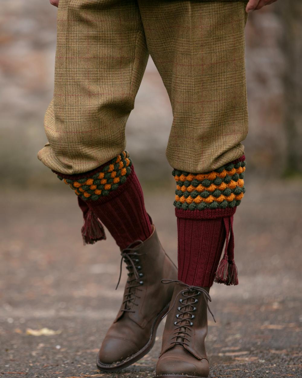 Burgundy coloured House of Cheviot Angus Socks on blurry background #colour_burgundy