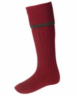 Brick Red Spruce