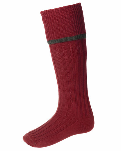 Brick Red Spruce coloured House of Cheviot Estate Field Socks on white background #colour_brick-red-spruce