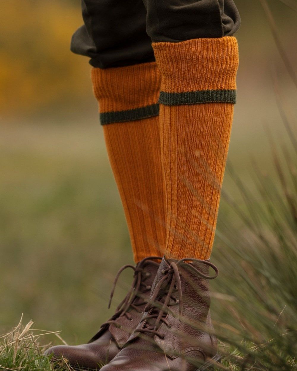 Ochre Spruce coloured House of Cheviot Estate Field Socks on blurry background #colour_ochre-spruce