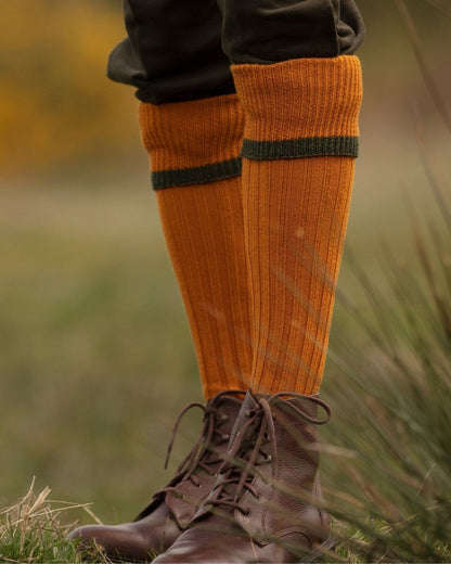 Ochre Spruce coloured House of Cheviot Estate Field Socks on blurry background #colour_ochre-spruce