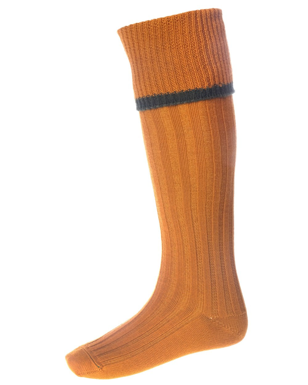 Ochre Spruce coloured House of Cheviot Estate Field Socks on white background #colour_ochre-spruce