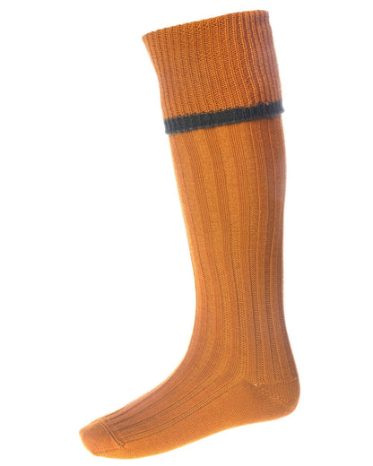 Ochre Spruce coloured House of Cheviot Estate Field Socks on white background #colour_ochre-spruce