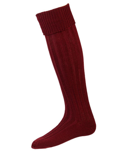 Burgundy coloured House of Cheviot Jura Socks on white background #colour_burgundy