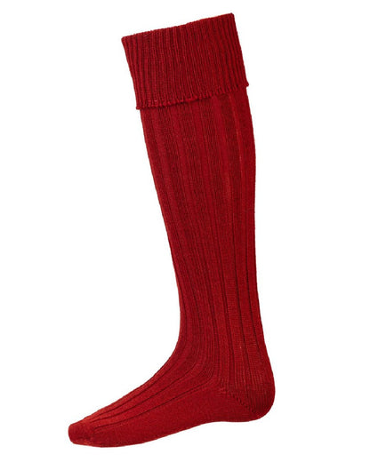 Chestnut coloured House of Cheviot Jura Socks on white background #colour_chestnut