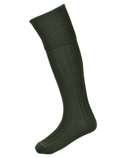 Spruce coloured House of Cheviot Jura Socks on white background #colour_spruce