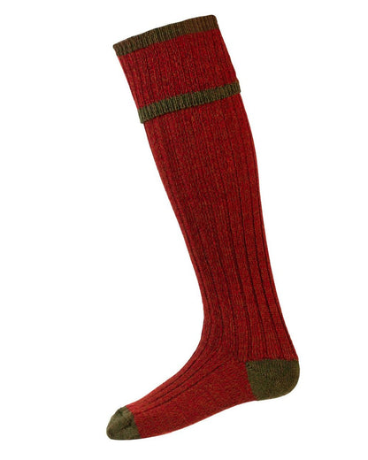 Rosehip coloured House of Cheviot Kyle Socks on white background #colour_rosehip