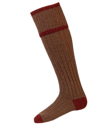Hazelnut coloured House of Cheviot Kyle Socks on white background #colour_hazelnut