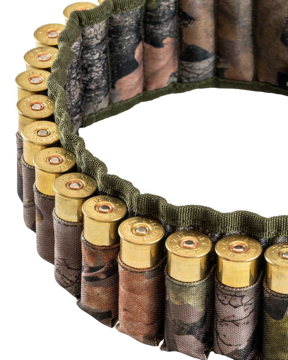EVO coloured Jack Pyke Cartridge Belt on white background #colour_evo