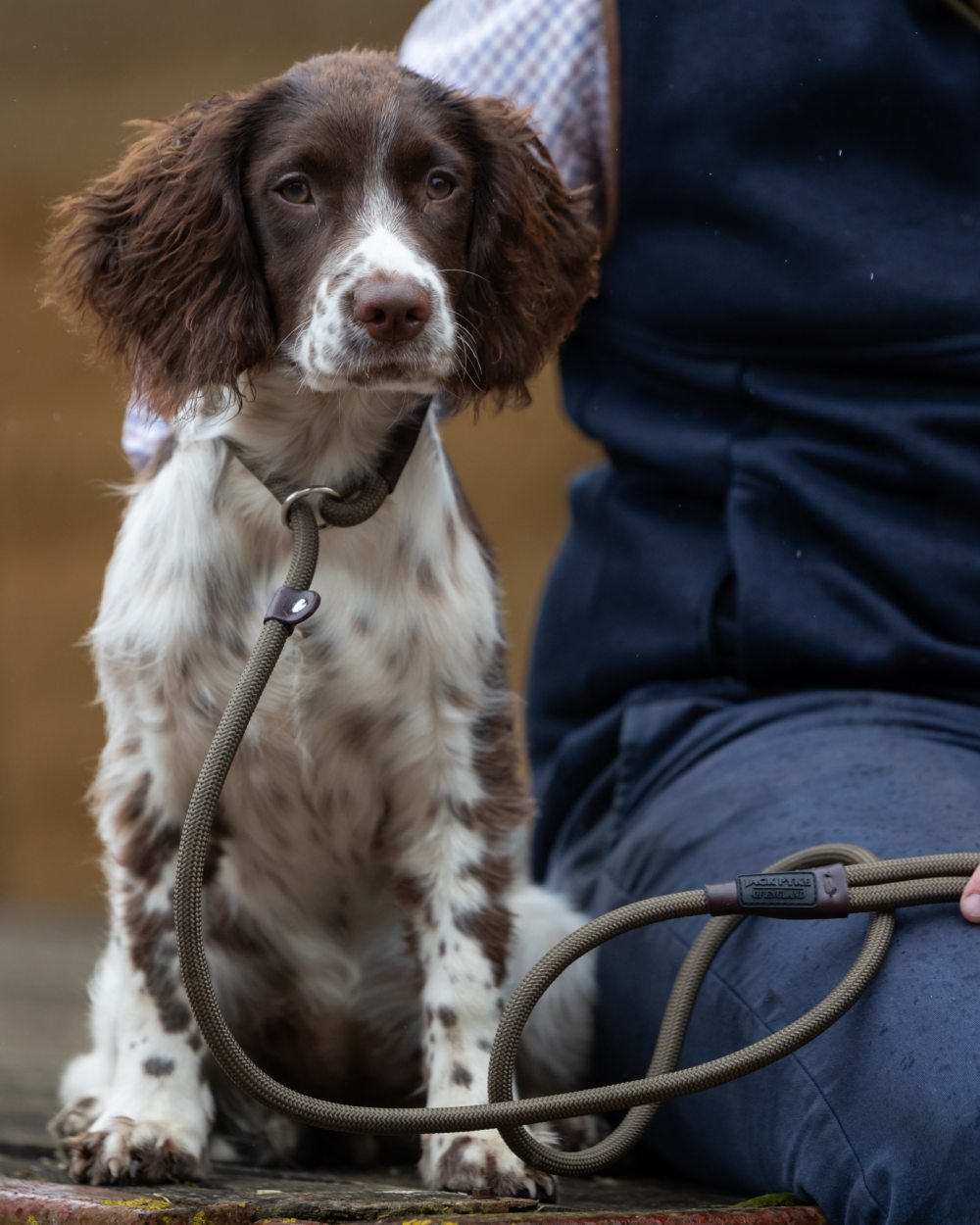 Olive coloured Jack Pyke Dog Slip Lead on outdoor background #colour_olive