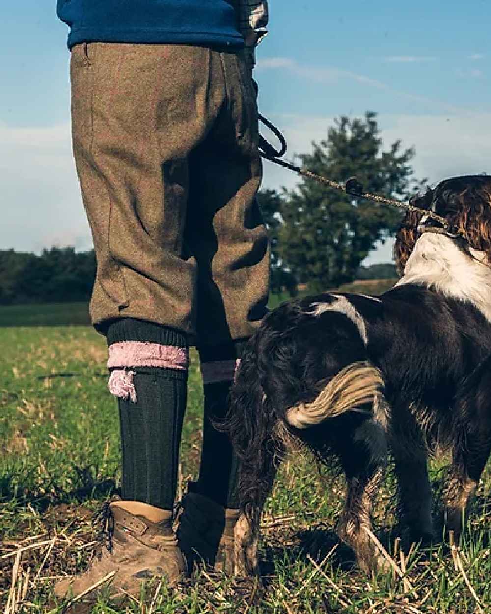 Green Pink coloured Jack Pyke Ladies Shooting Socks on grass background #colour_green-pink