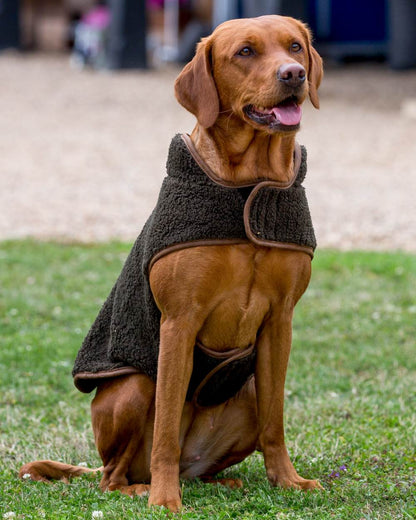 Dark Olive coloured Jack Pyke Sherpa Fleece Dog Coat on grassy background #colour_dark-olive